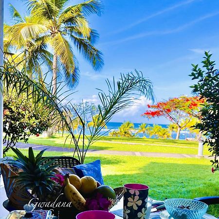 סנט-אן Acces Direct Plage, Vue Mer D'Exception, Les Gwada Studios, Village Vacances מראה חיצוני תמונה