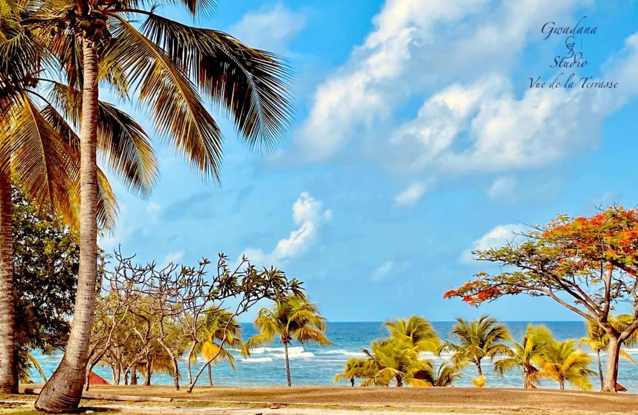 סנט-אן Acces Direct Plage, Vue Mer D'Exception, Les Gwada Studios, Village Vacances מראה חיצוני תמונה
