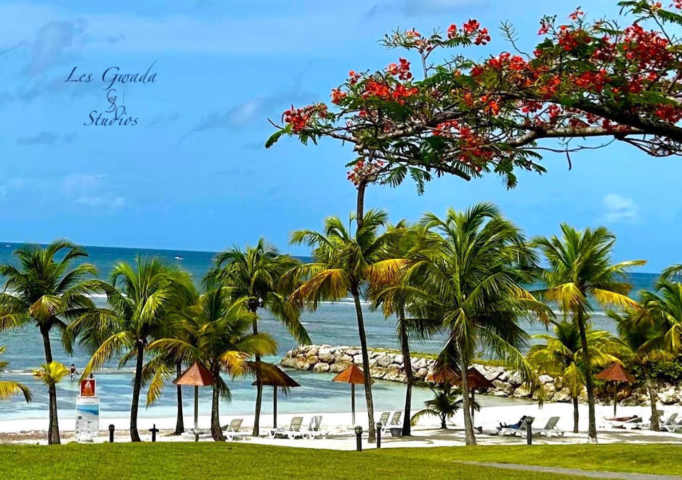 סנט-אן Acces Direct Plage, Vue Mer D'Exception, Les Gwada Studios, Village Vacances מראה חיצוני תמונה